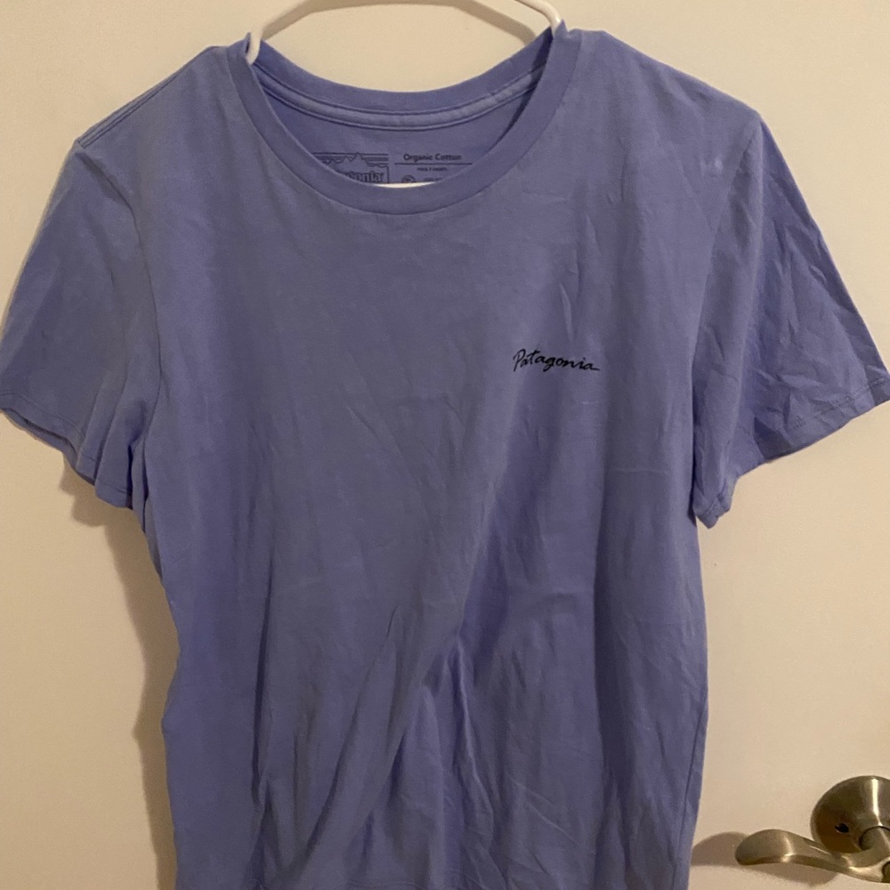 patagonia tee
